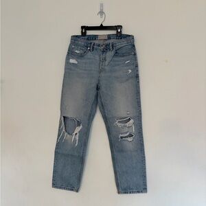 Everlane The Edition 03 destructed oversized Jean